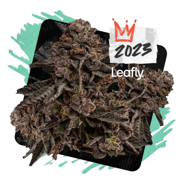 Prism Marker Feminized Seeds