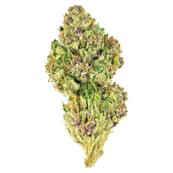 Pink Kush CBD 30:1 Auto Feminised Seeds