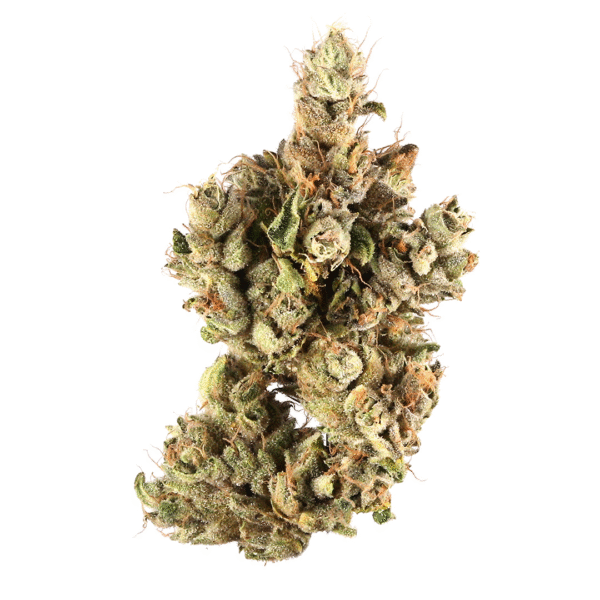 Pre98 Bubba BX2 Feminised Seeds