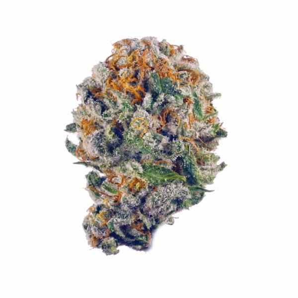 Purple People Eater Auto Feminised Seeds