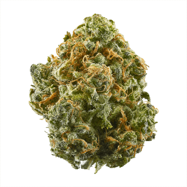 Feral Fuel ABC Regular Seeds