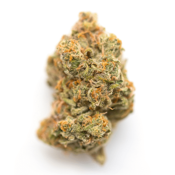 Return of the Mac Auto Feminised Seeds