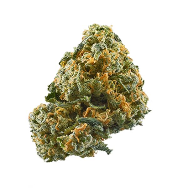 Root Beer Mac S1 Feminized Seeds