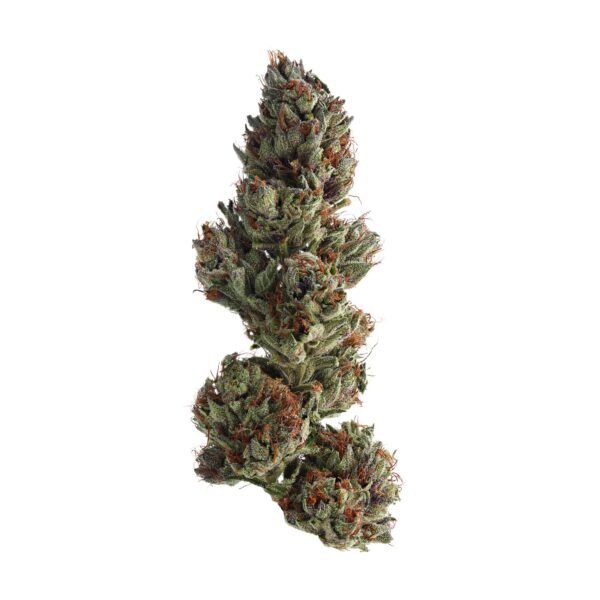 Runtz Feminised Seeds
