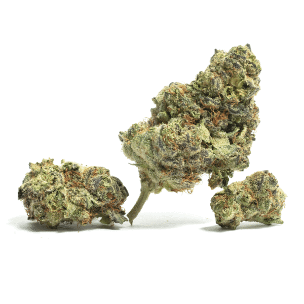 Runtz Muffin Feminised Seeds