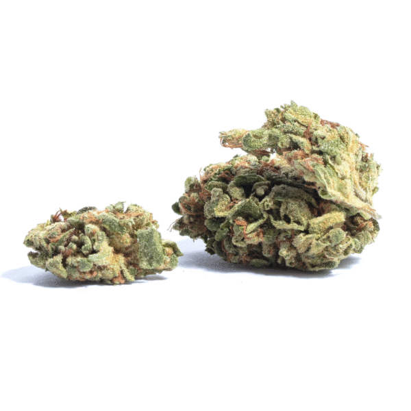 Shark Widow CBD Feminised Seeds
