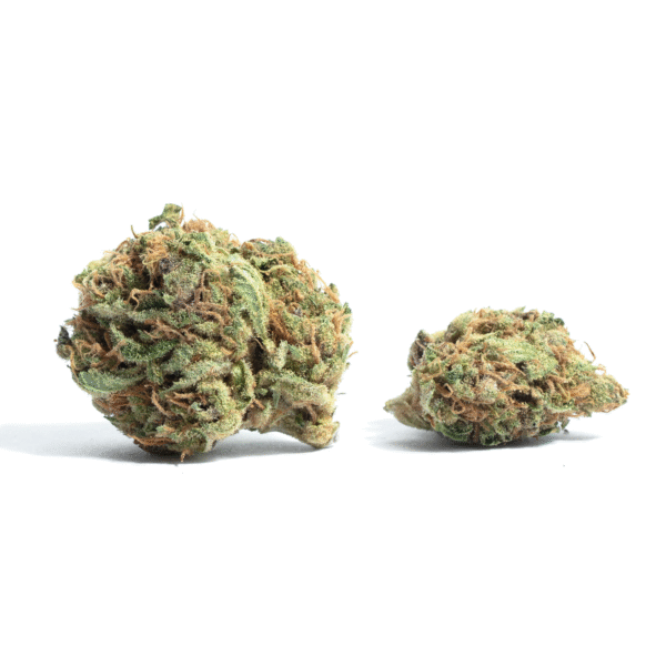 Kosher Cookies Feminised Seeds