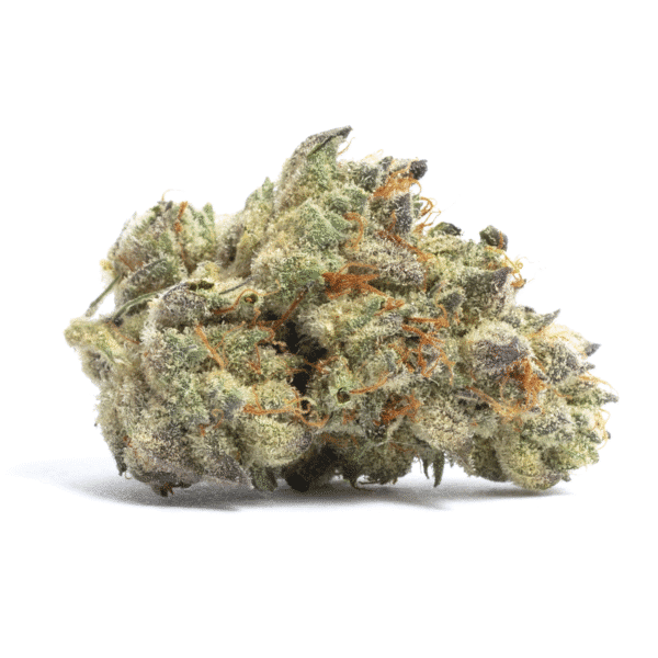 Shiskaberry Feminised Seeds