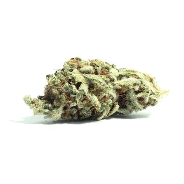 Killer A5 Haze Regular Seeds