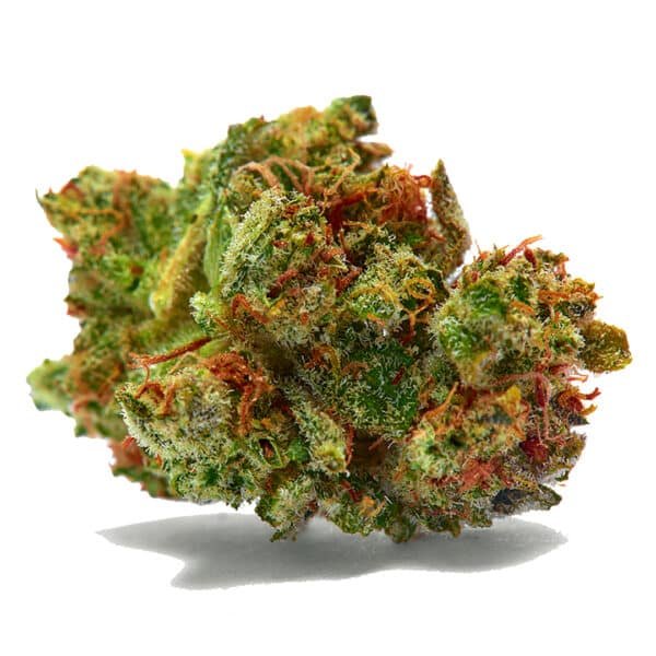 Sour Diesel Feminised Seeds