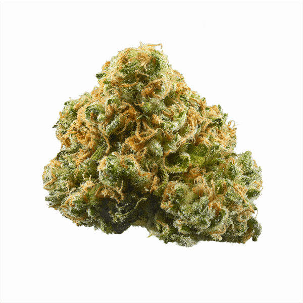 Sticky Queen Feminized Seeds