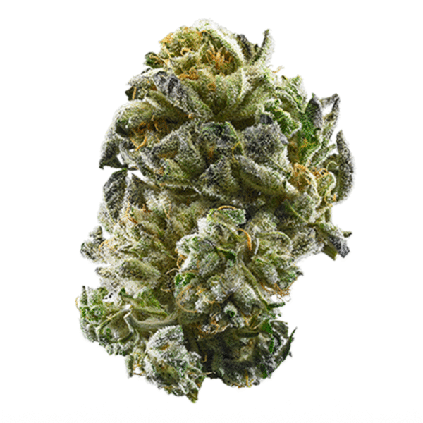 Strawberry Cheesecake Auto Feminised Seeds