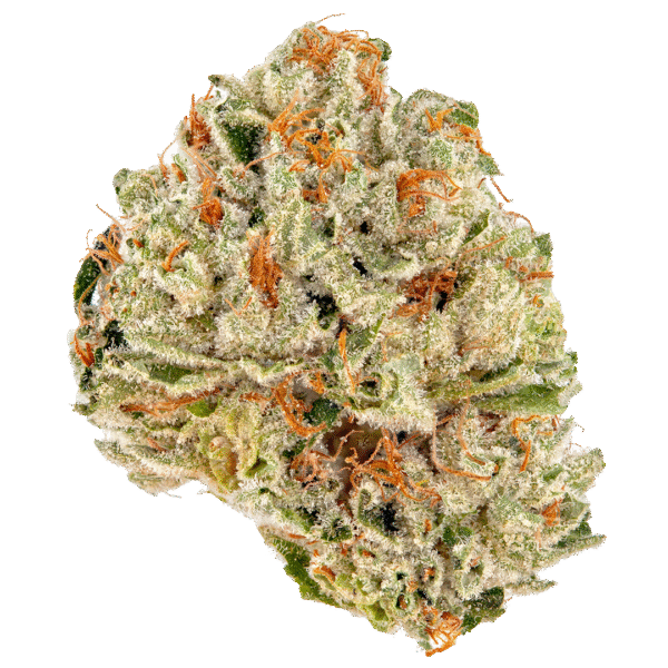 Banjerine FAST Feminised Seeds