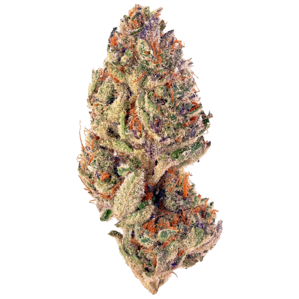 Tropicana Cookies FAST Feminised Seeds