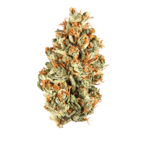Outer Space Cake Feminised Seeds