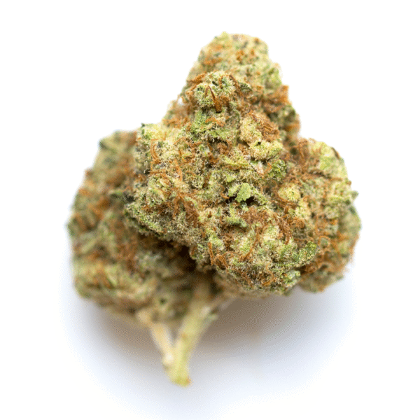 Watermelon OG Auto Feminised Seeds