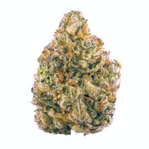 Wedding Tree Feminised Seeds