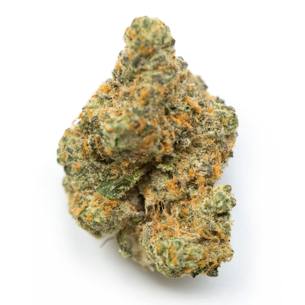 White Cheese Feminised Seeds