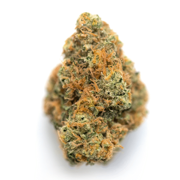 Zamaldelica Auto Feminised Seeds