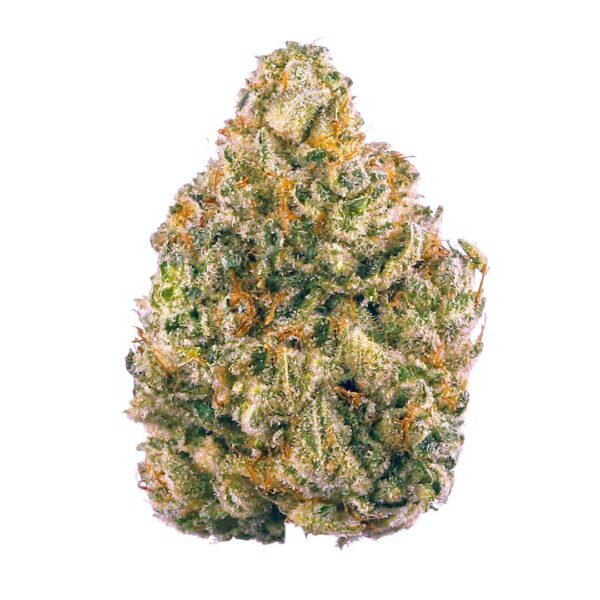 Apple Strudel Auto Feminised Seeds