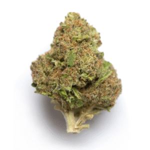 Auto-Bomb Feminised Seeds