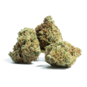 Future #1 Auto Feminised Seeds