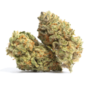 Platinum Garlic Feminized Seeds