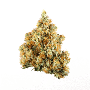 Honey Cream FAST Version Feminised Seeds