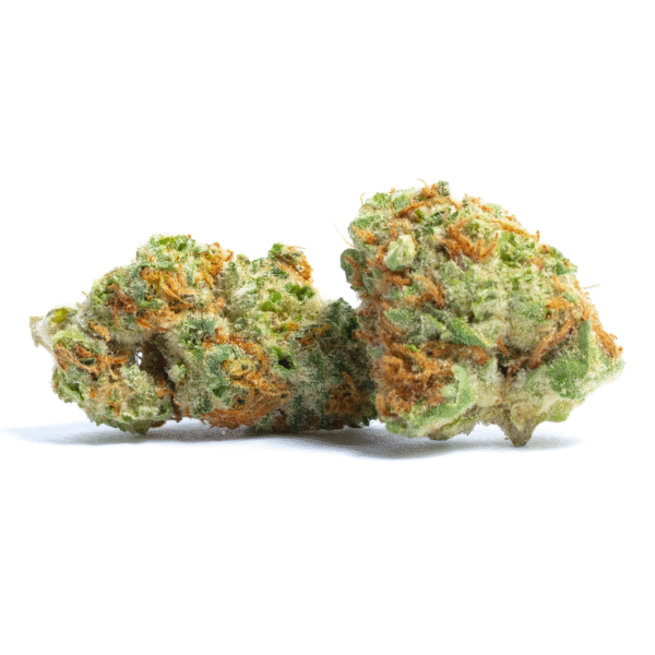 Chocolate Truffle Shuffle (C.T.S.) Feminised Seeds