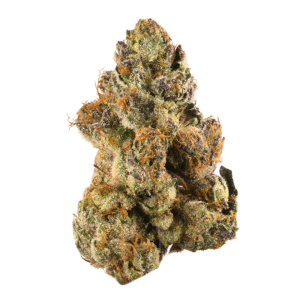 Mosca's Razzberries S1 Feminized Seeds