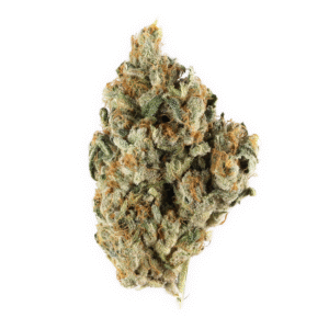 Ztrawberriez Auto Feminised Seeds