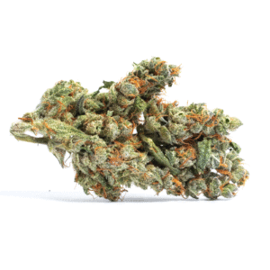 Seedsman CBG #1 Feminised Seeds