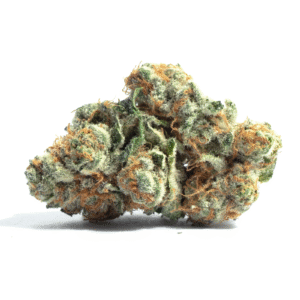 Thai x Panama Regular Seeds