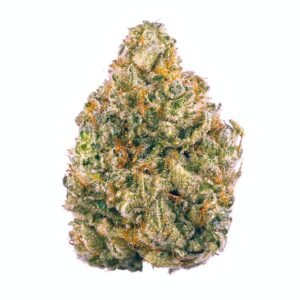 Tropicanna Banana Feminised Seeds